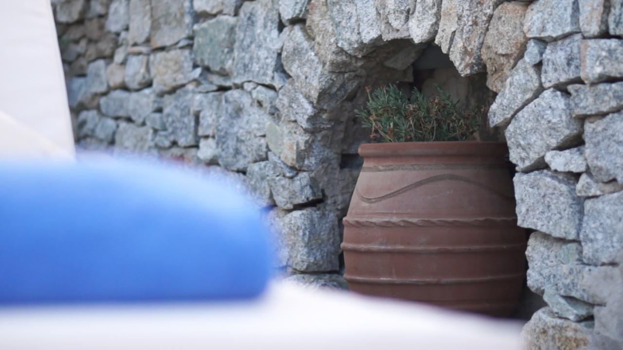 אורנוס Dionysos Luxury Hotel Mykonos מראה חיצוני תמונה